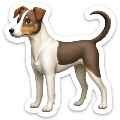 a full body large white floppy eared parson russell looking dog the size of a kelpie with light brown ears and a light brown patch on one eye and a large snout sticker