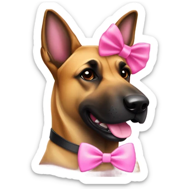 belgian malinois dog with pink bow sticker