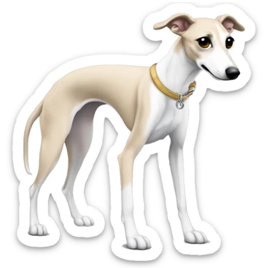 a beige whippet full body with his left foot white color up up and a leash going out of frame, with a dark snout, black and white mouth patchy and black angel wing like eyes sticker