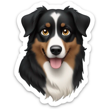 Black and tan Australian shepherd dog mostly black with one blue eye sticker