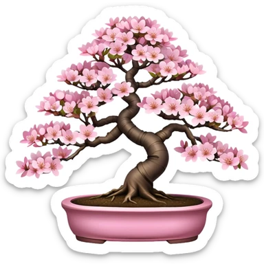 Sakura cherry blossom Bonsai tree  sticker