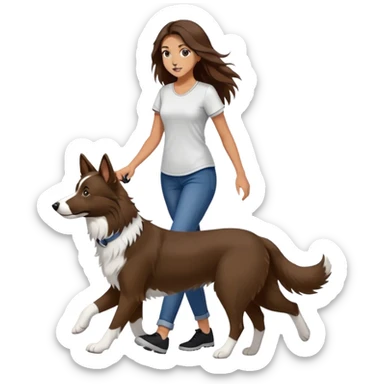 A beautiful girl with long brown hair and wearing a tight short-sleeved shirt is walking a black and white Border Collie sticker