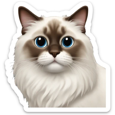 Chocolate point ragdoll cat sticker