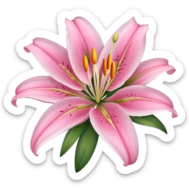 pink lilies sticker