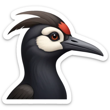 Black Sicklebill headshot sticker