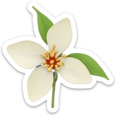 ashwagandha flower sticker