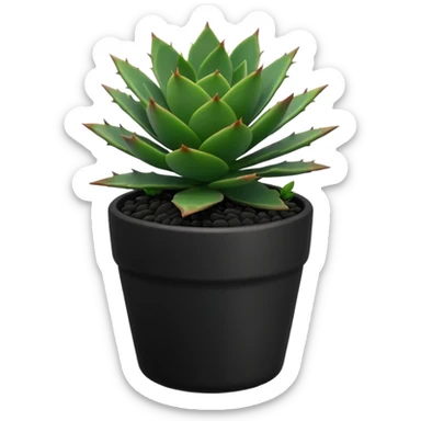 Desk Succulent Plant blavk cup sticker