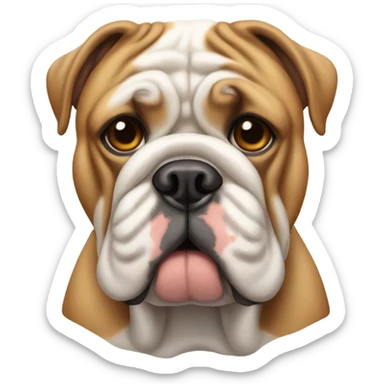 English bulldogs with  wrinkles sticker