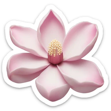Magnolia "A delicate pastel pink magnolia blossom with velvety, glowing petals surrounded by a dreamy halo of soft sparkles." sticker