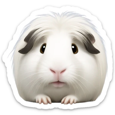 White Guinea pig with long hair  sticker