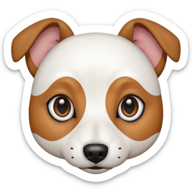 a fully white jack russell the size of a kelpie with a half white face sticker