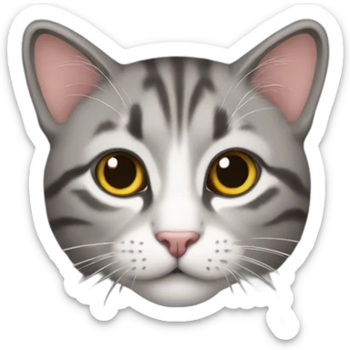 🐱 sticker