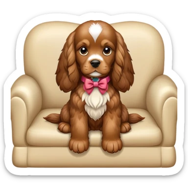 Cocker spaniel with bow sit on sofa  sticker
