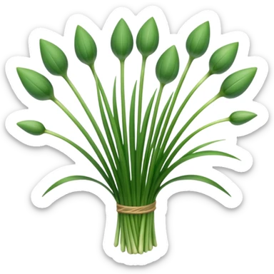 chives herb sticker