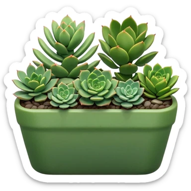 a variety of succulents arranged in a long green planter sticker