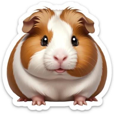 Cinematic Cute Brown and White Banded Guinea Pig Portrait Emoji, Head tilted playfully and inquisitively, showcasing a fluffy fur with playful brown and white banded patterns, round, sparkling dark eyes filled with curiosity, Simplified yet irresistibly adorable features, highly detailed, glowing with a warm, friendly glow, high shine, affectionate and spirited, stylized with a touch of whimsy, bright and endearing, soft glowing outline, capturing the essence of a mischievous yet loving guinea pig, so playful it feels like it could dash out of the screen and into your arms! sticker