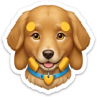 dog head wearing yellow collar with gps block sticker