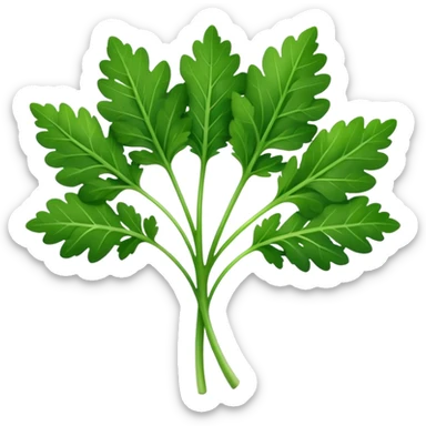 single fresh parsley leaf, bright green, detailed serrated edges, delicate natural curves, slight gloss on surface, fine central vein structure, gently branching lobes, no stem bunch, no background, soft lighting, subtle shadows, emoji scale sticker