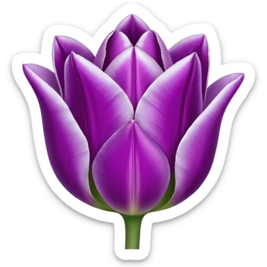 tulipan celest3 sticker