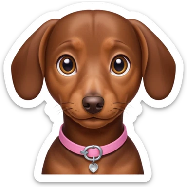 Make a brown short hair dachshund with hazel  eyes and a collar that says the name mocha with a pink band for the collar sticker