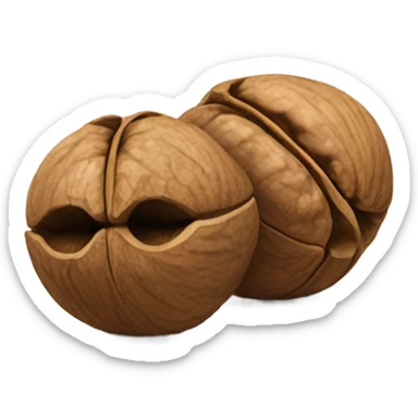 A pair of walnuts resting on a kitchen table sticker