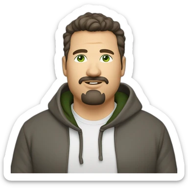 fat middle aged developer short dark brown graying hair goatee with green eyes hoodie sticker