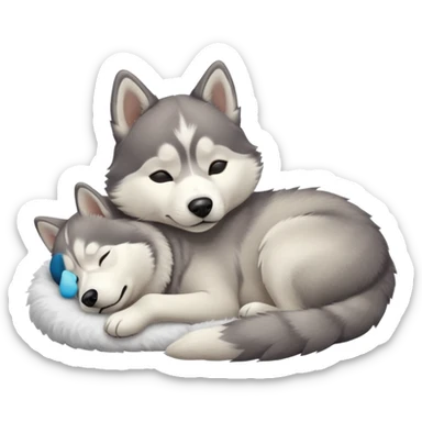 husky dog sleeping on the floor sticker