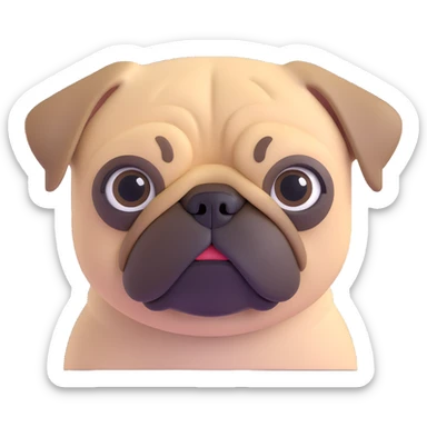 A pug posing, close up pose, living room background sticker