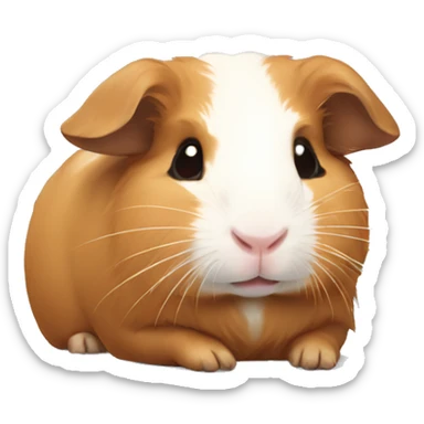 Guineapig laying down  sticker
