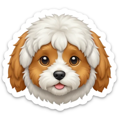 Cavapoo white white fur and apricot colored ears sticker