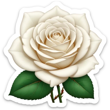 white rose, without green leaves, just flower sticker