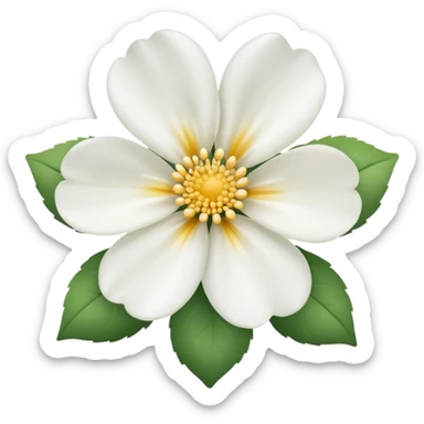 Flower white  sticker