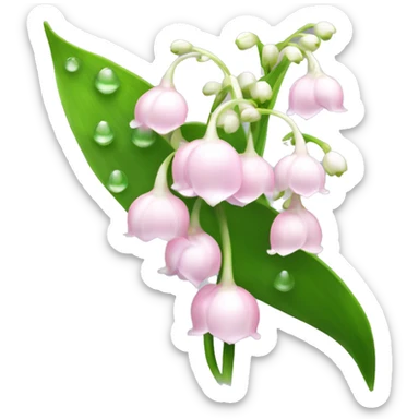 Light pink Lily of the valley flower with long stem and flowers bunched together with dewy water droplets   sticker