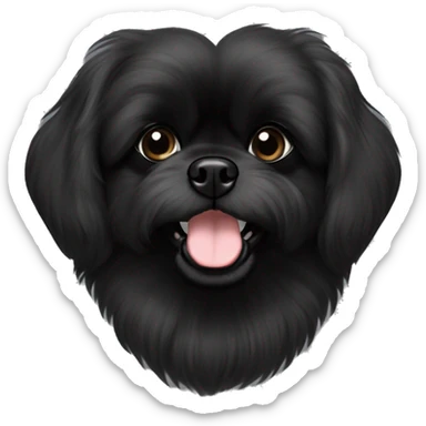 Pekingese poodle mix. All black in color everywhere. No other color. Extreme underbite with teeth showing  sticker