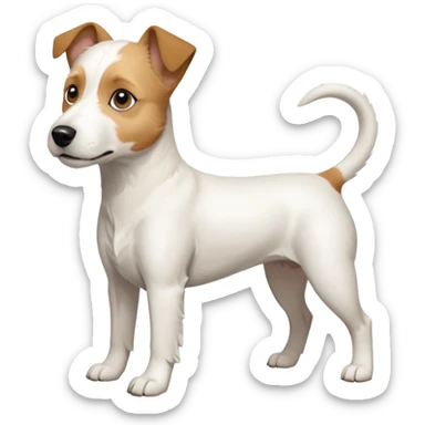a full body buff white parson russell terrier looking dog the size of a kelpie with light brown long ears and a light brown patch on one eye and a large snout. the rest of the dog is completely white. forward facing sticker