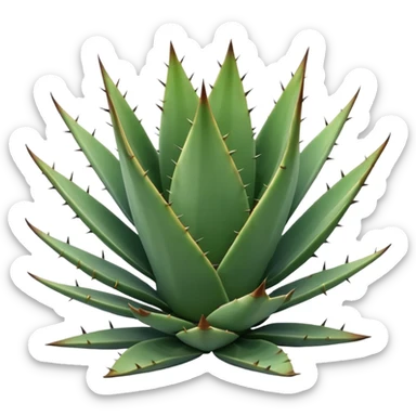 Agave plant sticker