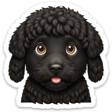 Black labradoodle  sticker