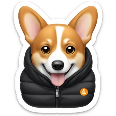 corgi wearing a black puffer jacket with a small orange YC logo on the left chest sticker