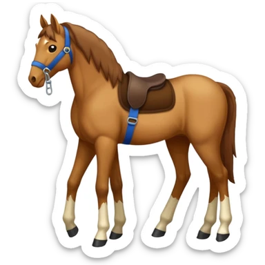 horse injury sticker