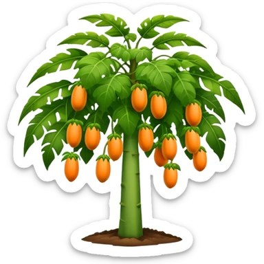 Papaya tree sticker