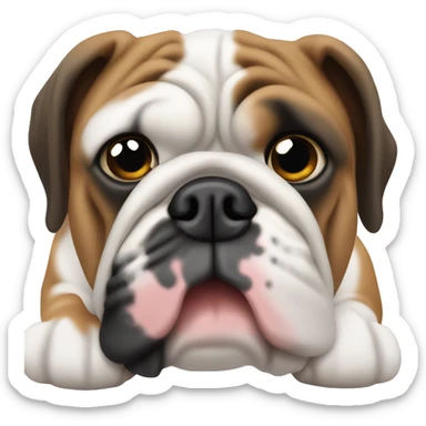 English bulldog with black white and brown sticker