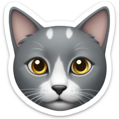 a grey cat with a white spot on its nose is playing sticker