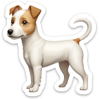 a full body buff white parson russell terrier looking dog the size of a kelpie with light brown long ears and a light brown patch on one eye and a large snout. the rest of the dog is completely white. forward facing sticker