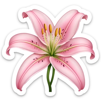 light pink lilium sticker
