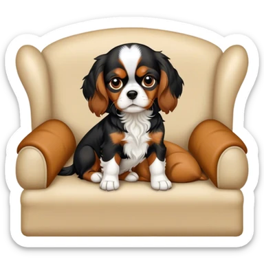 Cavalier, King, Charles, mignon sur un canapé sticker