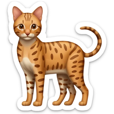 Realistic wild natural Ocicat, full body sticker