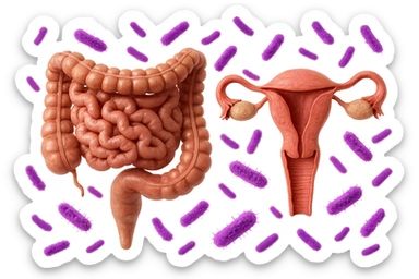 intestino umano anatomico realistico accanto ad un utero umano anatomico realistico, dietro i due organi fluttuano batteri intestinali con questo colore: #971ef1, iperrealistico 4k
isolata su sfondo bianco sticker