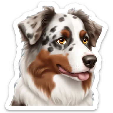 Red merle Australian shepherd with one blue eye and one brown eye sticker