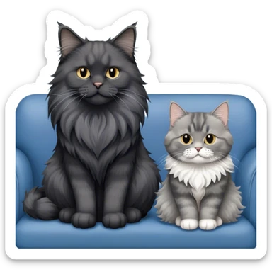 A large black smoke Maine Coon cat with long grey ear tufts and a fluffy grey ruff, sitting next to a chubby British Shorthair cat in blue color with plush fur, both sitting comfortably on a sofa. Beautiful room background with flowers and soft lighting. Transparent background. sticker