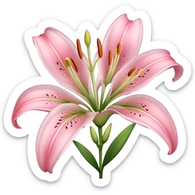 light pink lilium sticker